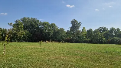 Villa in vendita a Copparo - foto 9