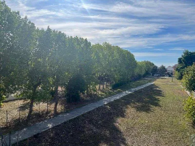 Appartamento in vendita a Alba Adriatica - foto 5