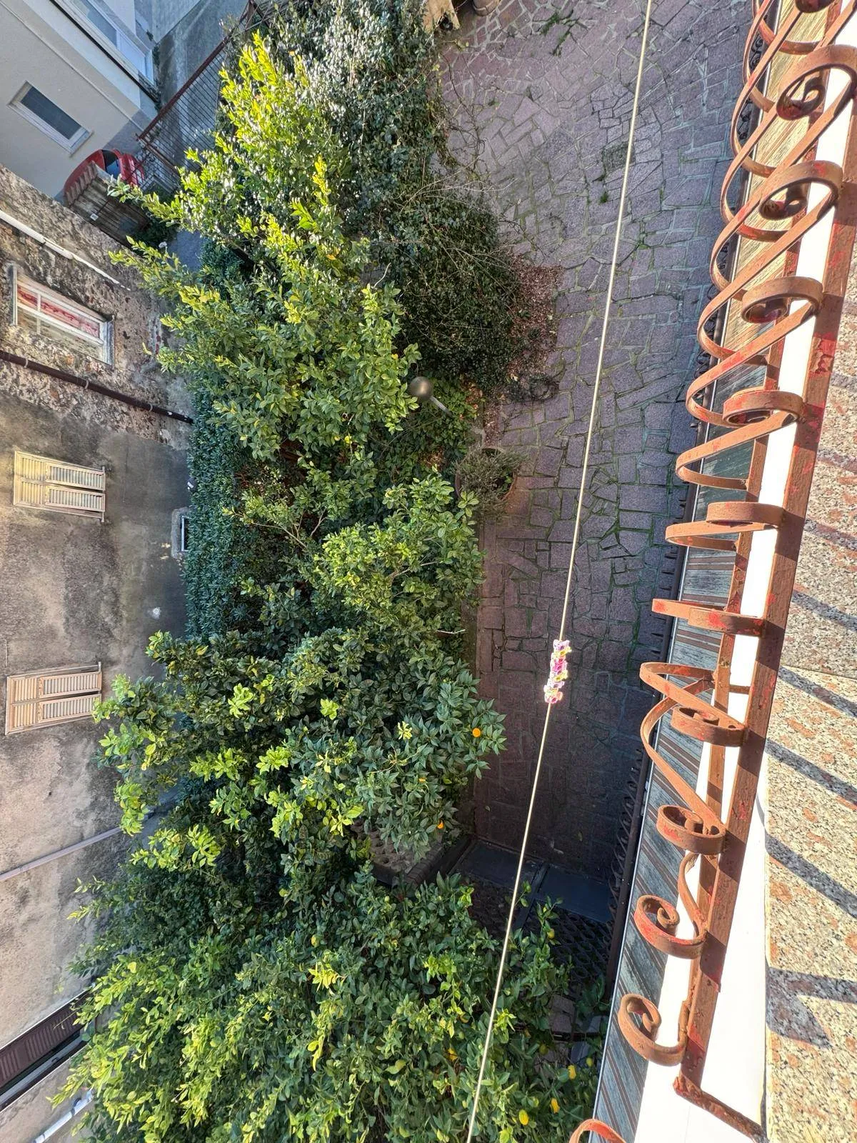 Appartamento in vendita a Massa - foto 3
