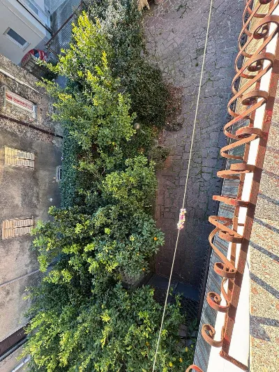 Appartamento in vendita a Massa - foto 3