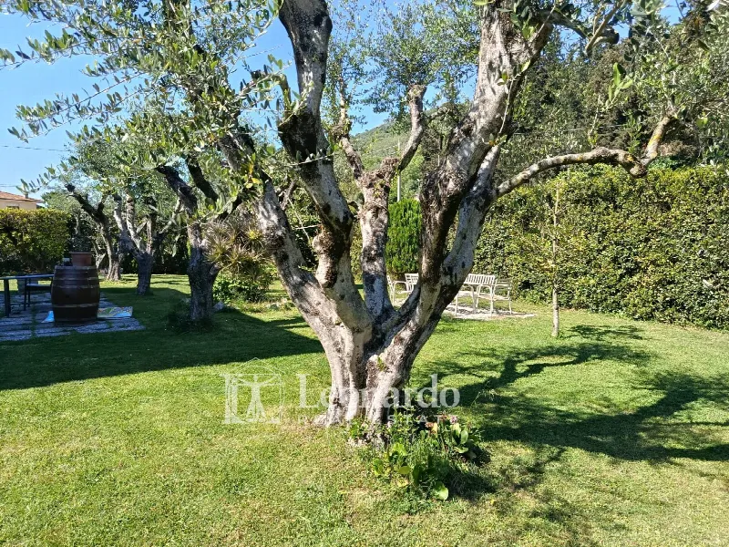 Appartamento in vendita a Massarosa - foto 1