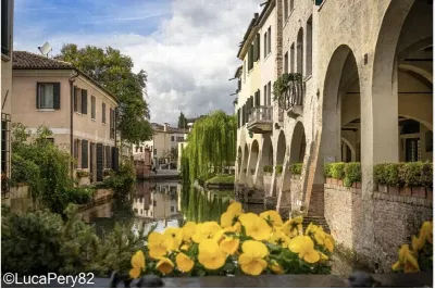 Appartamento in vendita a Treviso, Intorno... - foto 5