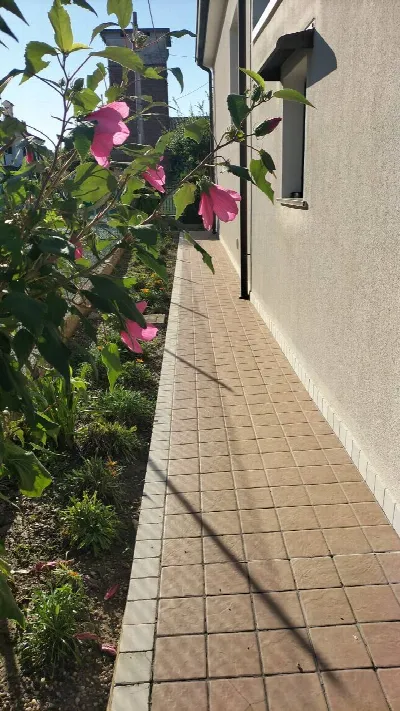 Villa in vendita a Roncade - foto 4