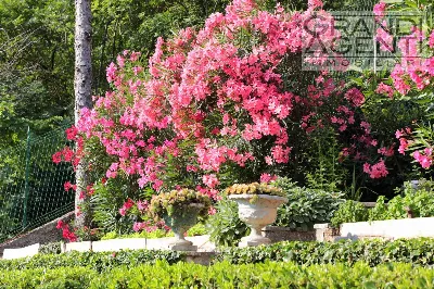 Villa in vendita a Grezzana - foto 4