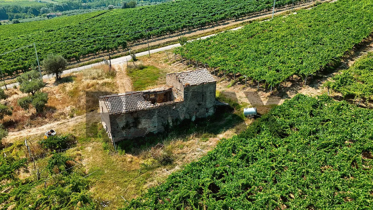 Rustico/Casale in vendita a Frisa - foto 4