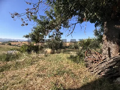 Rustico/Casale in vendita ad Atessa - foto 6