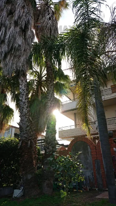 Appartamento in vendita a Acireale - foto 4