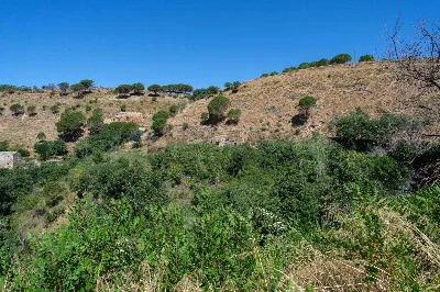 Rustico/Casale in vendita a Piazza Armerin... - foto 2