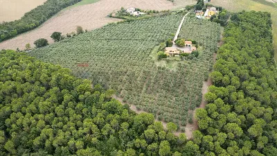Villa in vendita a Morrovalle - foto 10