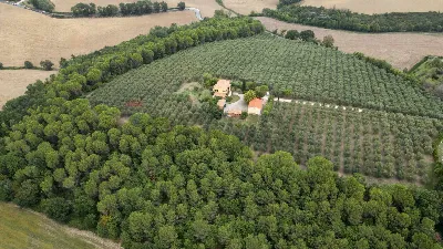 Villa in vendita a Morrovalle - foto 8