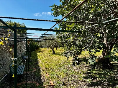 Rustico/Casale in vendita a Modica - foto 4