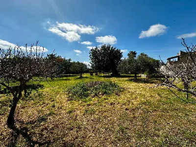 Rustico/Casale in vendita a Modica - foto 6