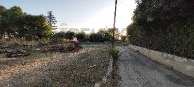 Appartamento in vendita a Caltagirone - foto 5