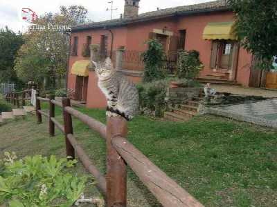 Villa in vendita a Castrocaro Terme e Terr... - foto 4