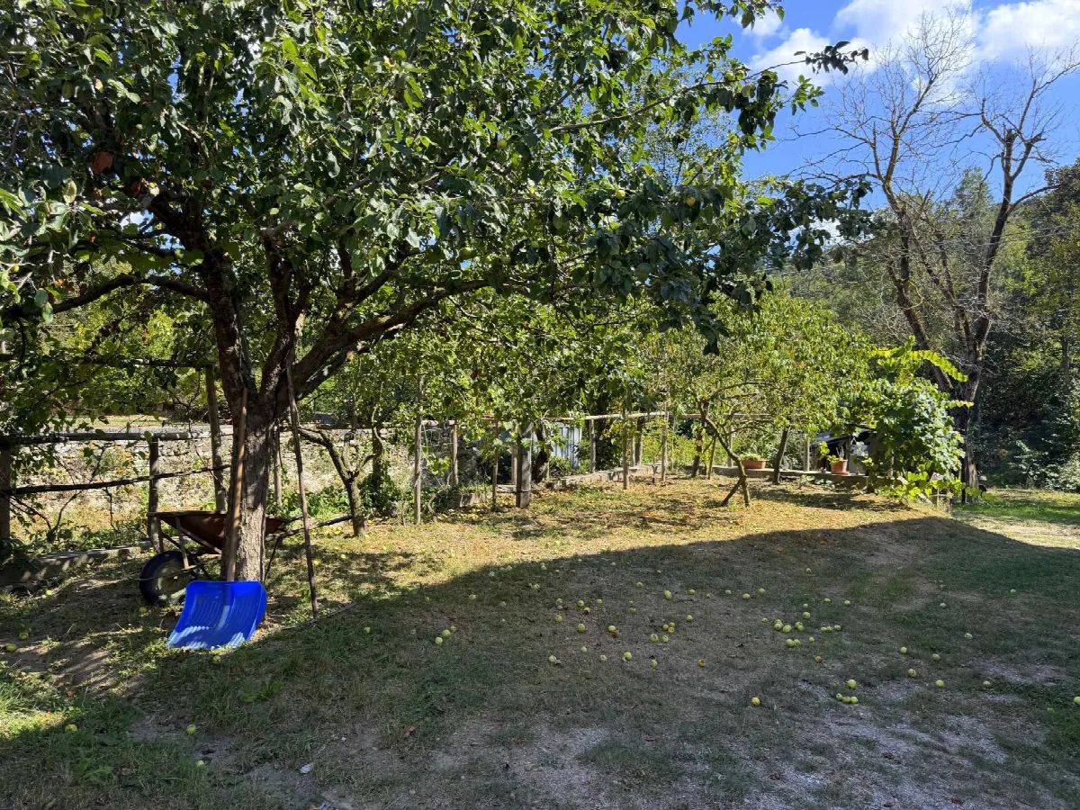 Appartamento in vendita a Mallare - foto 5