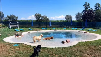 Rustico/Casale in vendita a Volta Mantovan... - foto 10