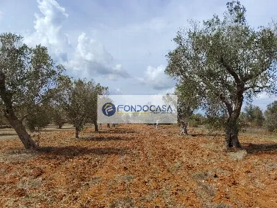 Rustico/Casale in vendita a Andrano - foto 10