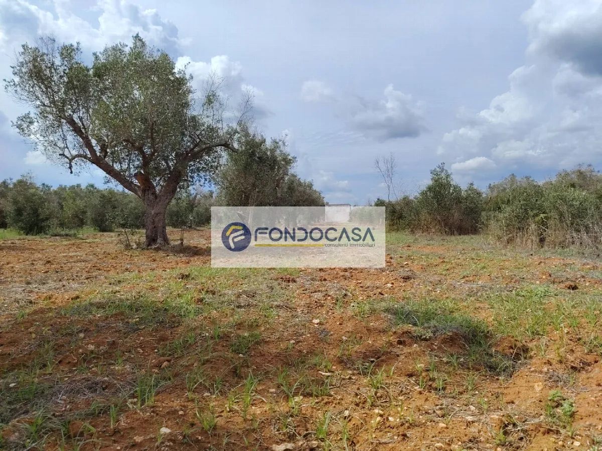 Rustico/Casale in vendita a Andrano - foto 2