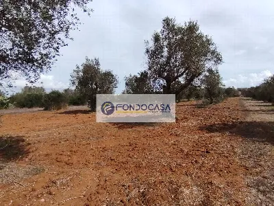 Rustico/Casale in vendita a Andrano - foto 4