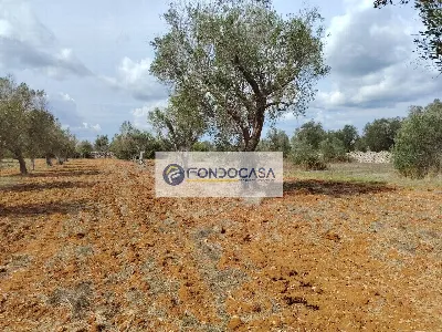 Rustico/Casale in vendita a Andrano - foto 9