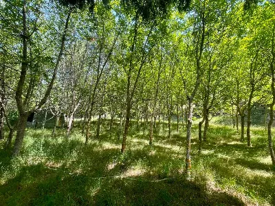 Appartamento in vendita a San Giovanni in ... - foto 7