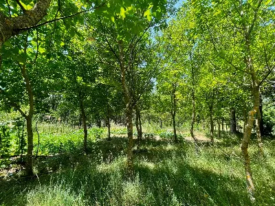 Appartamento in vendita a San Giovanni in ... - foto 9