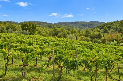 Rustico/Casale in vendita a Bucine - foto 6