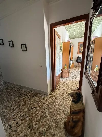Appartamento in vendita a Massafra - foto 3