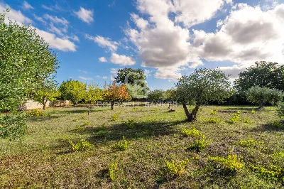 Villa in vendita a Cisternino - foto 3