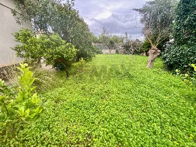 Casa Indipendente in vendita a Altavilla M... - foto 4