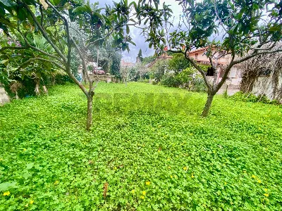 Casa Indipendente in vendita a Altavilla M... - foto 8