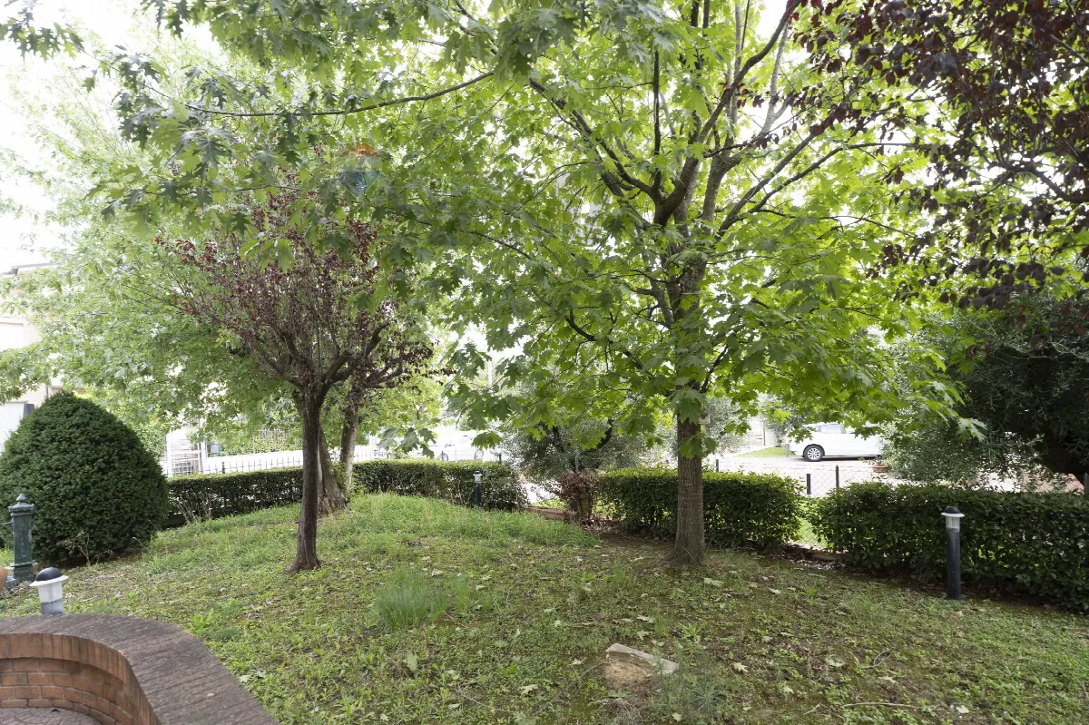 Casa Indipendente in vendita a Castelbellino - foto 3