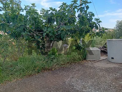 Villa in vendita a Mirabella Imbaccari - foto 5
