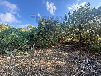 Rustico/Casale in vendita a Sortino - foto 10