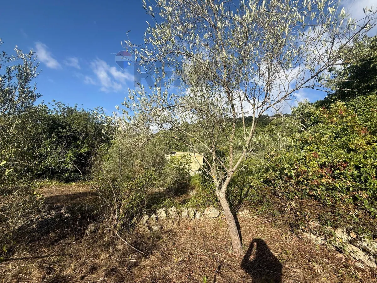 Rustico/Casale in vendita a Sortino - foto 2