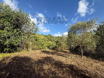 Rustico/Casale in vendita a Sortino - foto 3