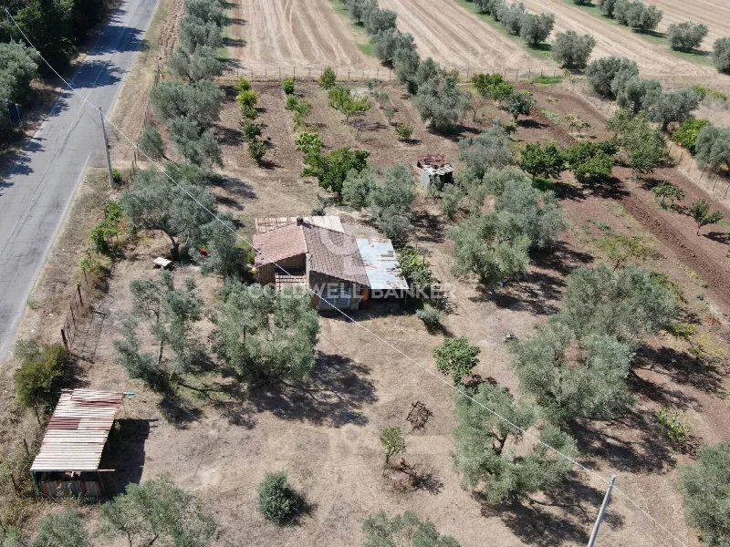 Rustico/Casale in vendita a Canino - foto 1