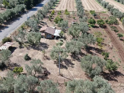 Rustico/Casale in vendita a Canino - foto 10