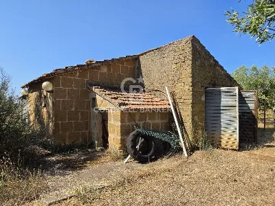 Rustico/Casale in vendita a Canino - foto 2