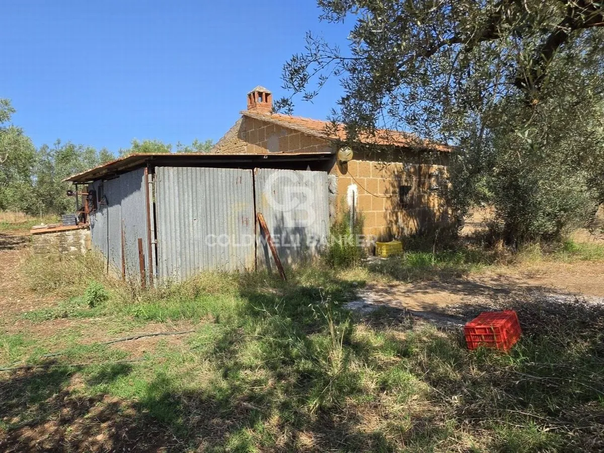 Rustico/Casale in vendita a Canino - foto 4