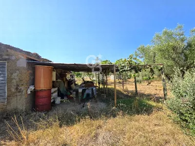 Rustico/Casale in vendita a Canino - foto 6