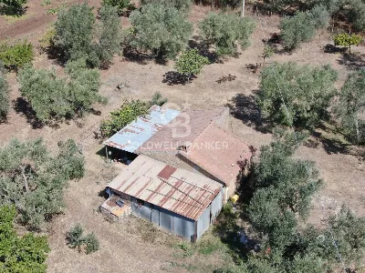 Rustico/Casale in vendita a Canino - foto 7