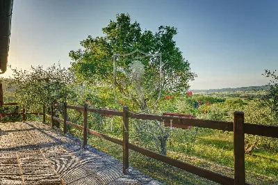 Rustico/Casale in vendita a Sinalunga - foto 10