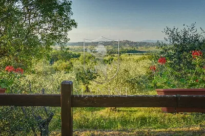 Rustico/Casale in vendita a Sinalunga - foto 4