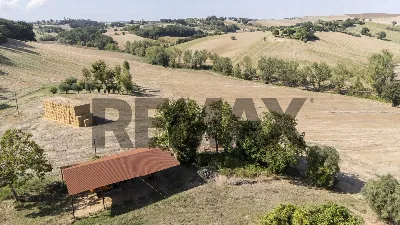 Rustico/Casale in vendita a Castelleone di... - foto 8