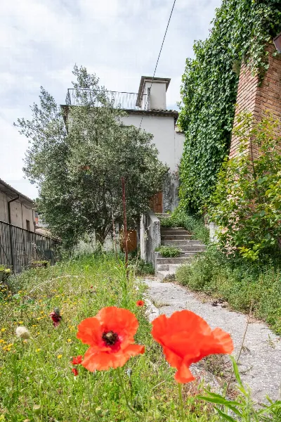 Appartamento in vendita a Arcevia - foto 1