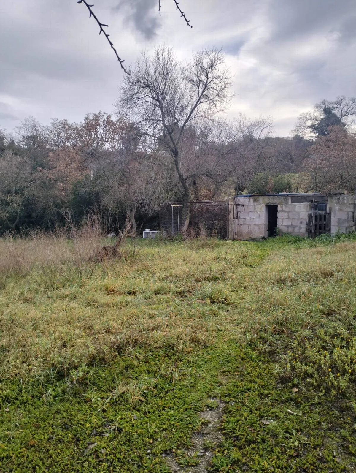 Rustico/Casale in vendita a Ozieri - foto 2