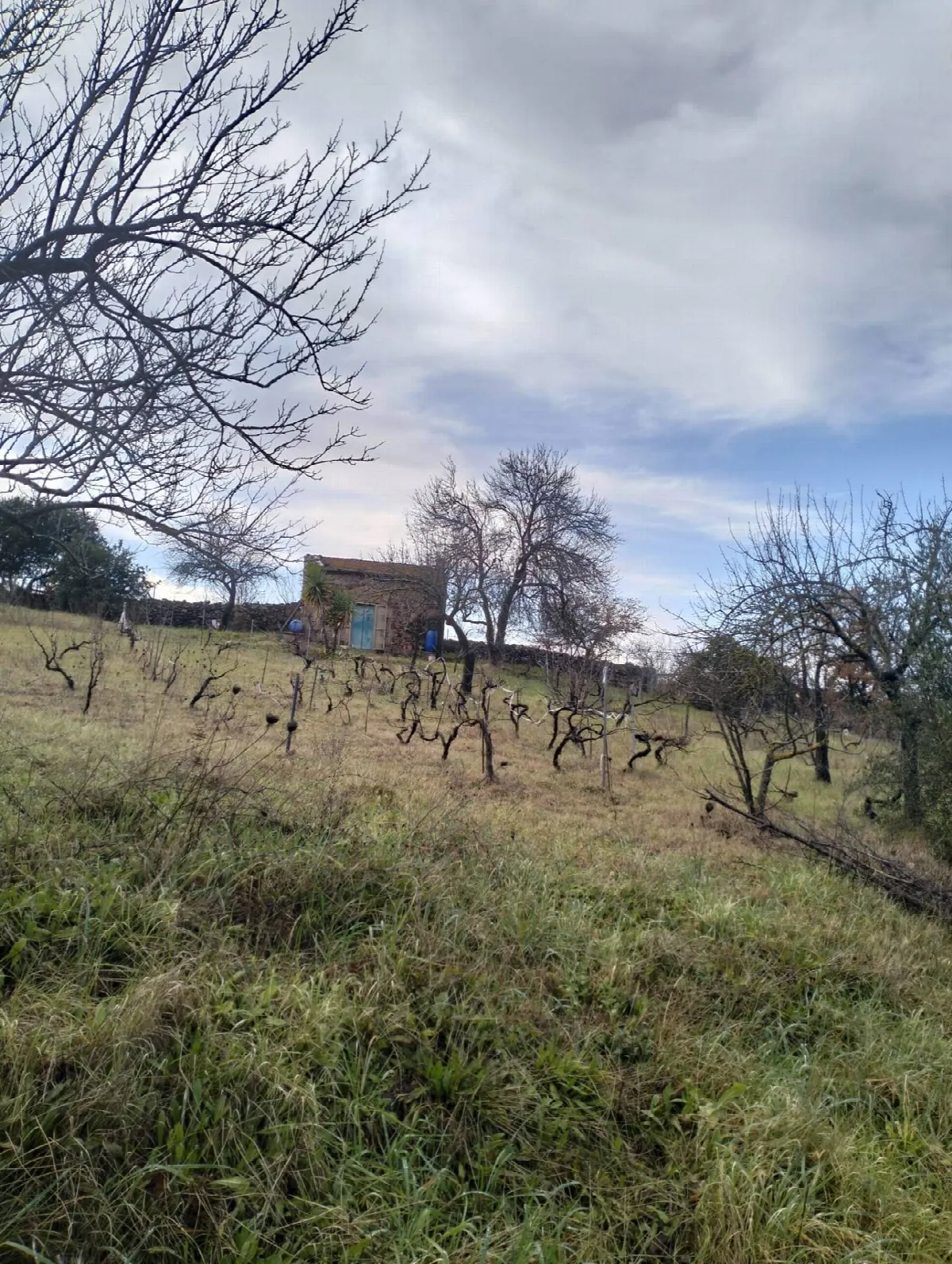 Rustico/Casale in vendita a Ozieri - foto 4