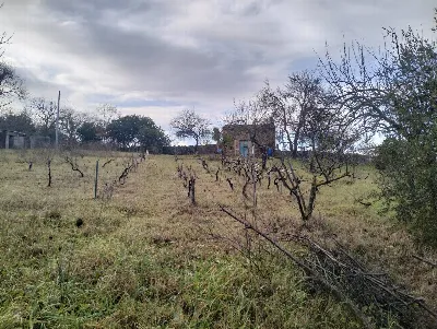 Rustico/Casale in vendita a Ozieri - foto 6