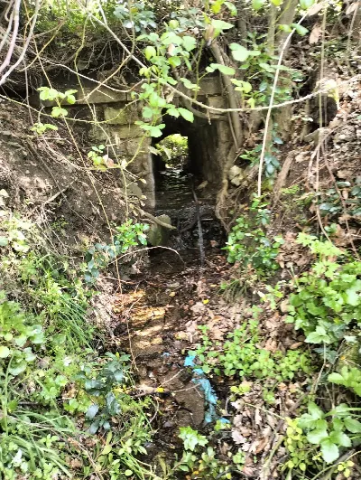Rustico/Casale in vendita a Ozieri - foto 8